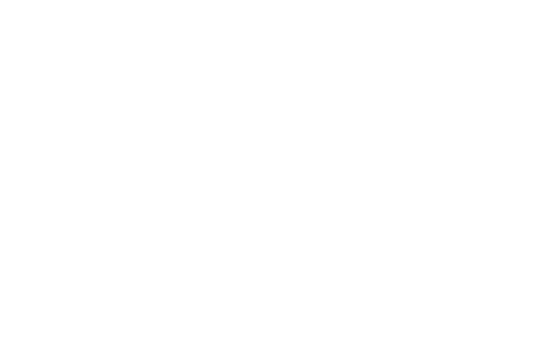 Logo Chemcar